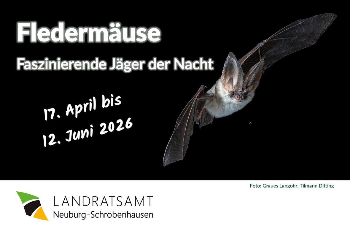 2026-03-17_16-47-57-20260212_plakatadf3