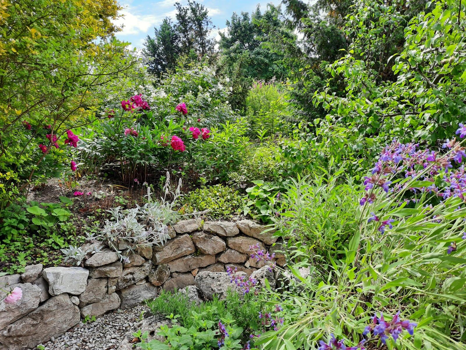 garten-naturnah-foto-birgit-kroneisl