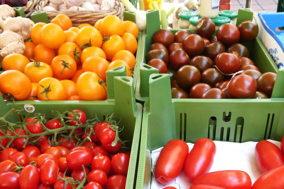 wochenmarkt-tomaten-august