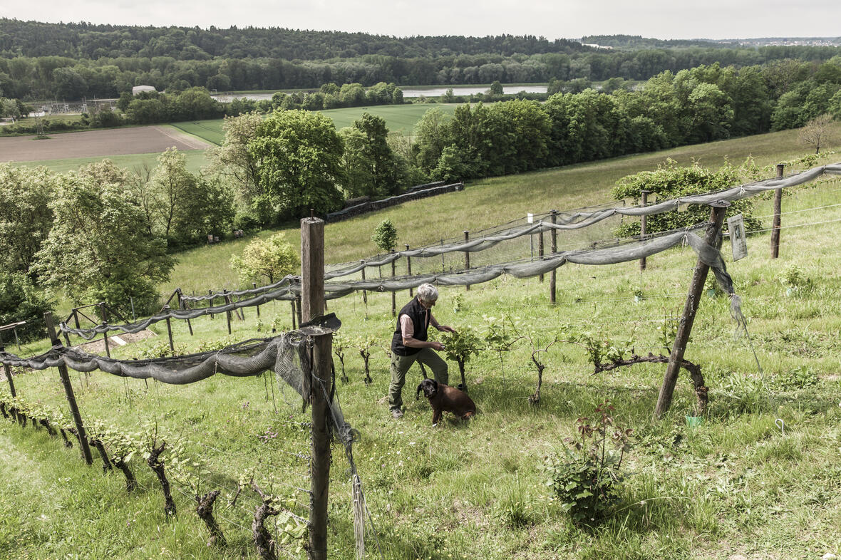 Bild: bernhard huber munich