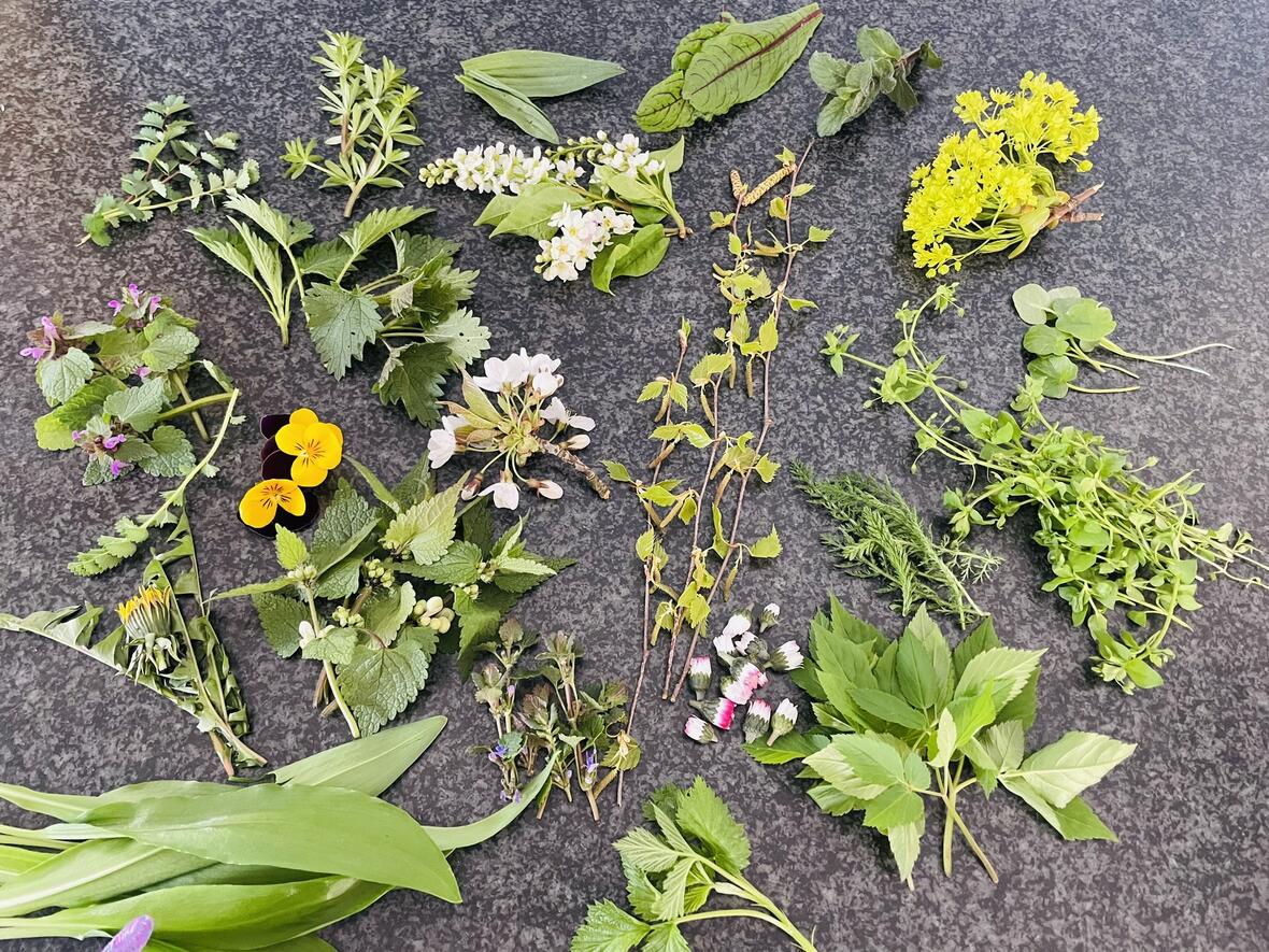 2025-02-14_01-27-47-img_3732